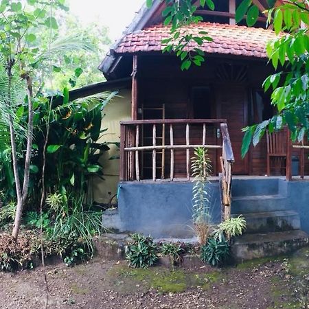 Echo Alam Nusa Lodge Ped Dış mekan fotoğraf
