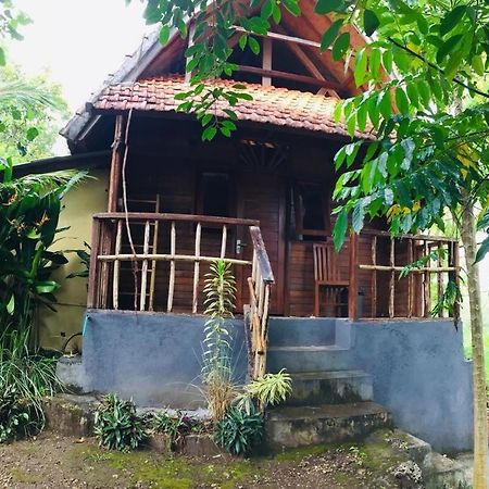 Echo Alam Nusa Lodge Ped Dış mekan fotoğraf