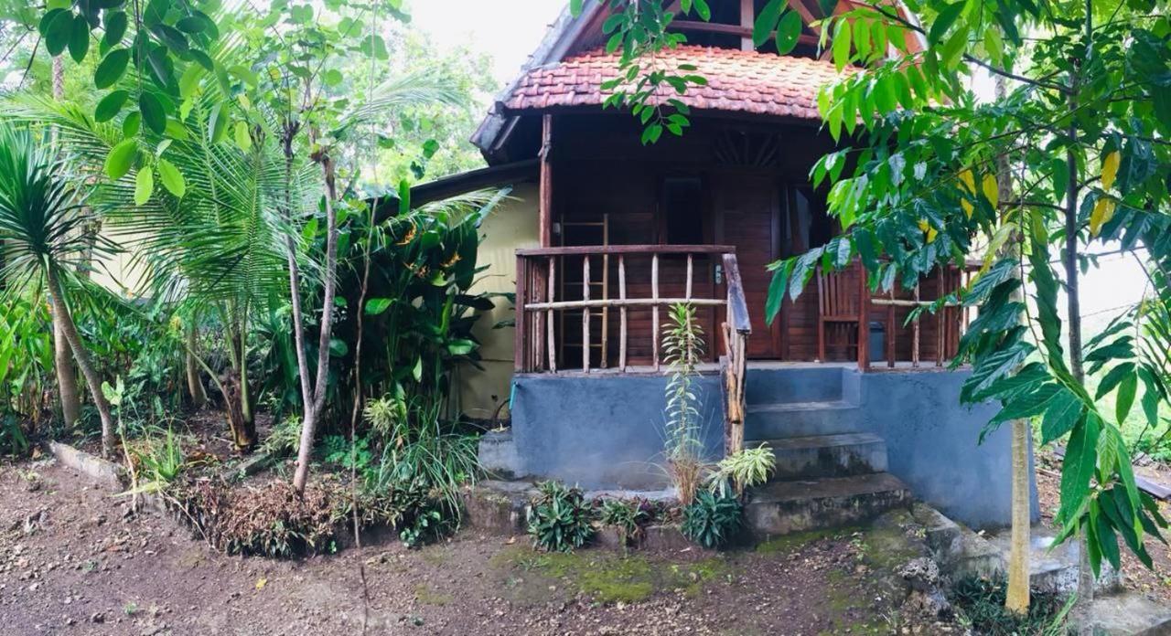 Echo Alam Nusa Lodge Ped Dış mekan fotoğraf