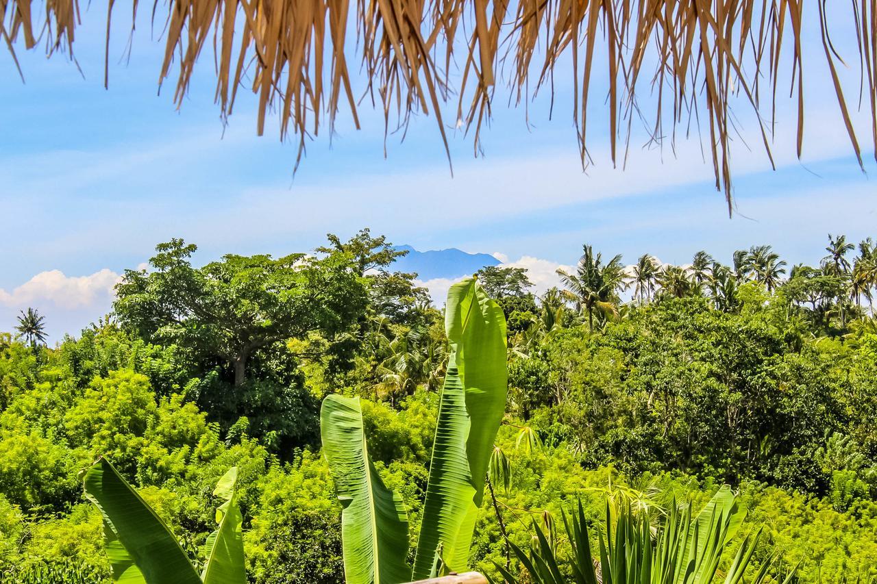 Echo Alam Nusa Lodge Ped Dış mekan fotoğraf