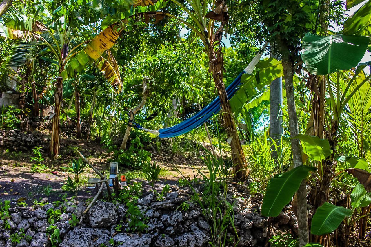 Echo Alam Nusa Lodge Ped Dış mekan fotoğraf