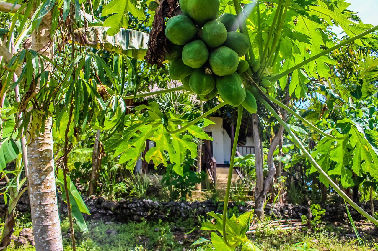 Echo Alam Nusa Lodge Ped Dış mekan fotoğraf