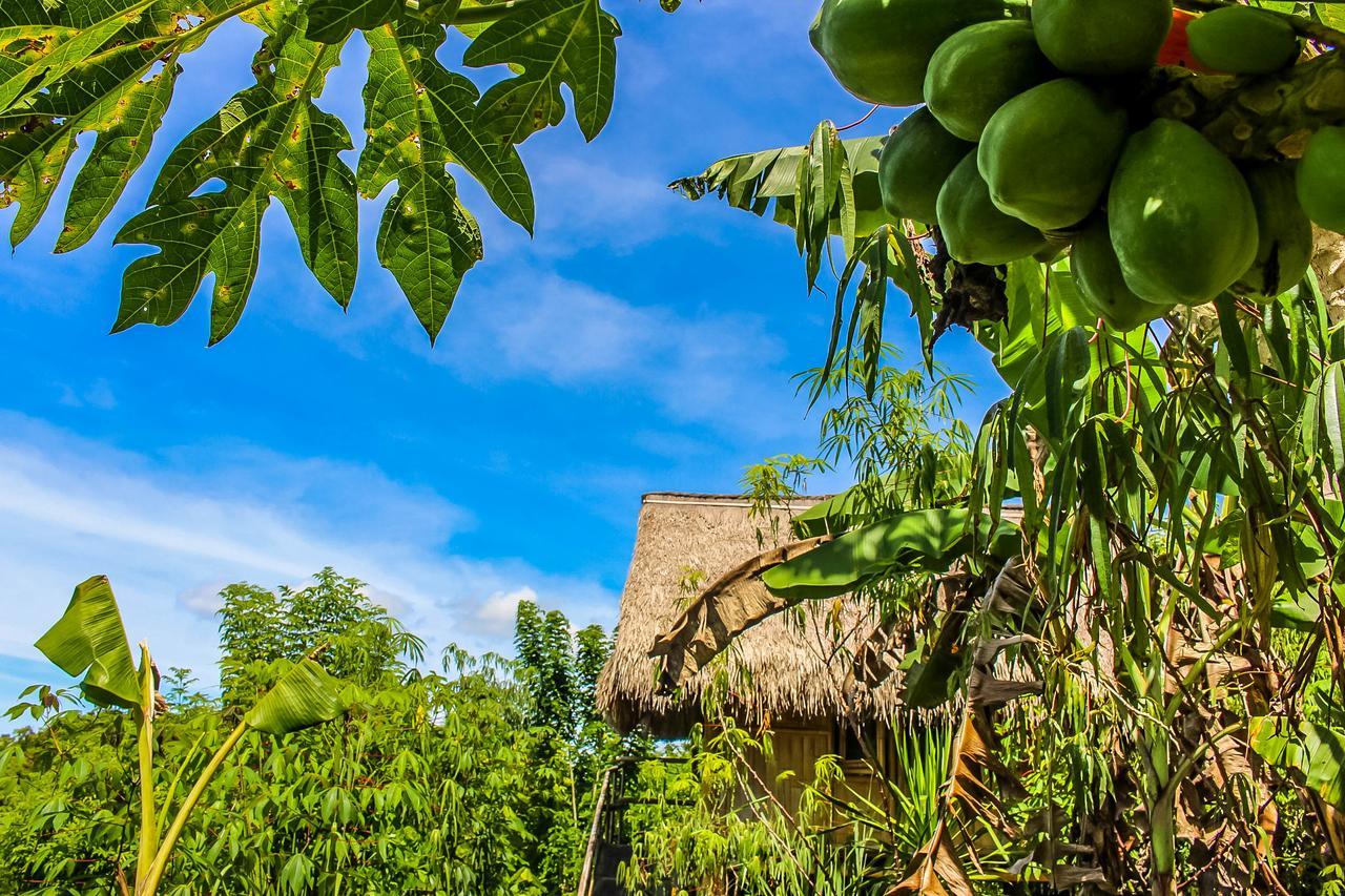Echo Alam Nusa Lodge Ped Dış mekan fotoğraf